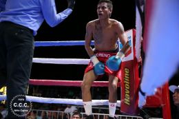 Cartelera boxística de Bufalo Boxing