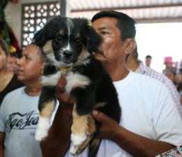 Celebración de las festividades de San Lázaro en Masaya