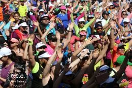 Bienvenida al Verano 2017