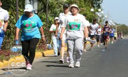 Bienvenida al Verano 2017