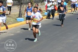 Bienvenida al Verano 2017