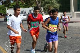 Bienvenida al Verano 2017