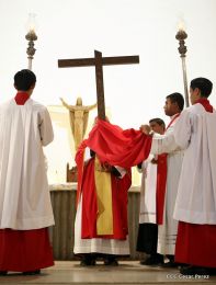 Celebran Liturgia de la Pasión y Muerte de Jesucristo