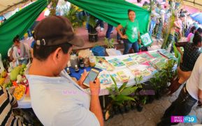 Amor a la Naturaleza, Corazón Verde