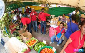 Amor a la Naturaleza, Corazón Verde
