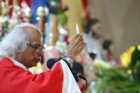 San Marcos celebra a su santo patrono