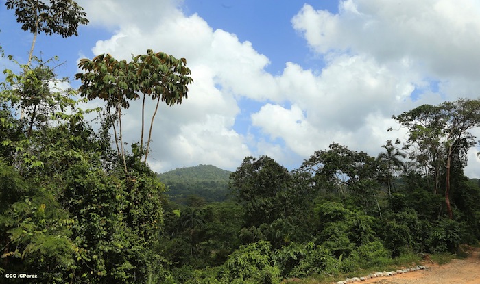 Puestos de Control Ecológicos dirigidos a proteger Reserva Bosawás 