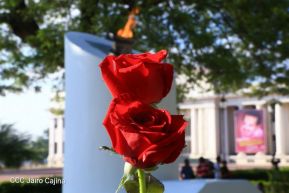 "Una flor para Carlos"