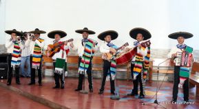 Fieles católicos le cantan a la Sangre de Cristo