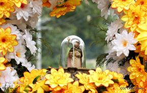 Santo Domingo ya se encuentra en su trono de Las Sierritas