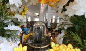 Santo Domingo ya se encuentra en su trono de Las Sierritas