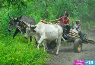 Recorrido por el Volcán Telica