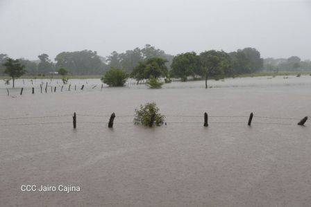 Imágenes de las afectaciones de la Tormenta Tropical Nate en Nicaragua