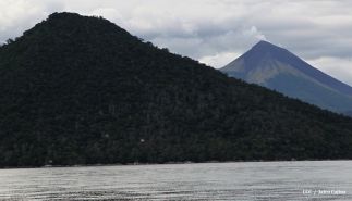 Crucero llegará al puerto Salvador Allende en próximos días