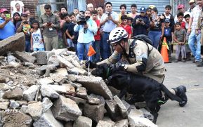Tercer Ejercicio Nacional para la Protección de la Vida