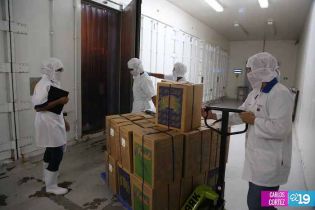 Camaronicultura en Nicaragua