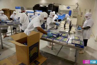 Camaronicultura en Nicaragua