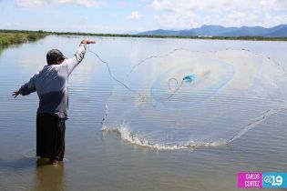 Camaronicultura en Nicaragua