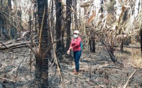 EN FOTOS: Ejército de Nicaragua trabaja para sofocar incendio en Indio Maíz