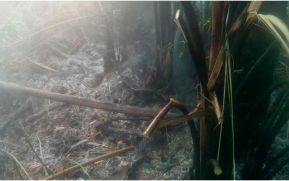 EN FOTOS: Ejército de Nicaragua trabaja para sofocar incendio en Indio Maíz
