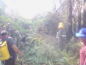 EN FOTOS: Ejército de Nicaragua trabaja para sofocar incendio en Indio Maíz