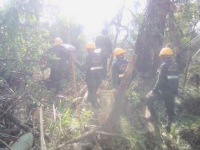EN FOTOS: Ejército de Nicaragua trabaja para sofocar incendio en Indio Maíz