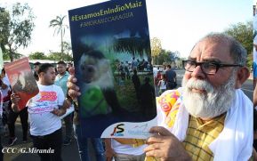 EN FOTOS: Ejército de Nicaragua trabaja para sofocar incendio en Indio Maíz