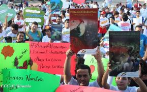 EN FOTOS: Ejército de Nicaragua trabaja para sofocar incendio en Indio Maíz