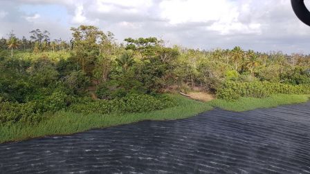 EN FOTOS: Ejército de Nicaragua trabaja para sofocar incendio en Indio Maíz