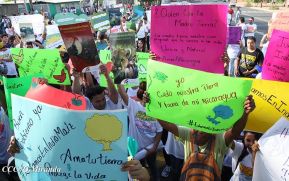 EN FOTOS: Ejército de Nicaragua trabaja para sofocar incendio en Indio Maíz