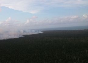 EN FOTOS: Ejército de Nicaragua trabaja para sofocar incendio en Indio Maíz