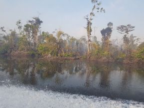 EN FOTOS: Ejército de Nicaragua trabaja para sofocar incendio en Indio Maíz