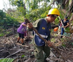 EN FOTOS: Ejército de Nicaragua trabaja para sofocar incendio en Indio Maíz