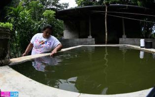 Nicaragua en intensa jornada de lucha contra el dengue