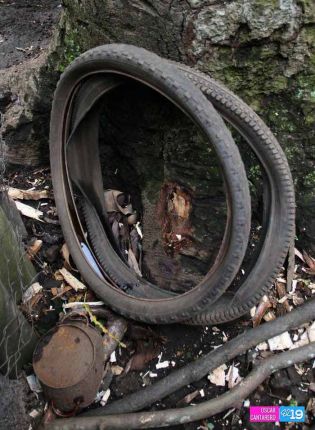 Nicaragua en intensa jornada de lucha contra el dengue