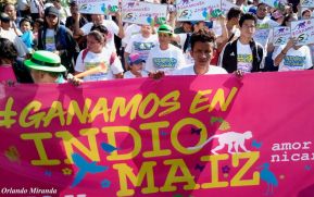 En #AMORANICARAGUA todos celebramos que #GanamosEnIndioMaíz