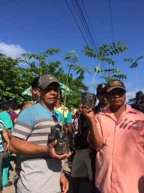 En #AMORANICARAGUA todos celebramos que #GanamosEnIndioMaíz