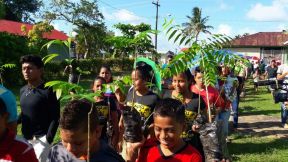 En #AMORANICARAGUA todos celebramos que #GanamosEnIndioMaíz