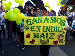 En #AMORANICARAGUA todos celebramos que #GanamosEnIndioMaíz