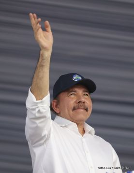 Miles claman por la Paz y la No Violencia