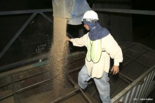 Rusia entrega cargamento de trigo a Nicaragua