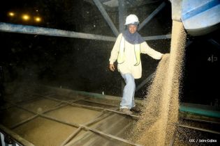 Rusia entrega cargamento de trigo a Nicaragua