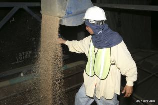 Rusia entrega cargamento de trigo a Nicaragua