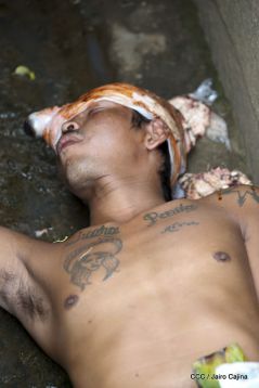 II Ejercicio Nacional de Preparación para la Protección de la Vida