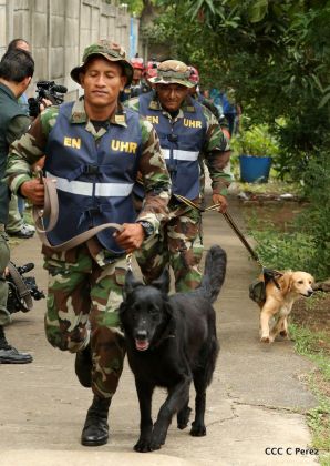 II Ejercicio Nacional de Preparación para la Protección de la Vida