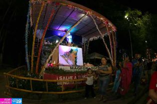 Altares a la Virgen en Avenida de Bolívar a Chávez