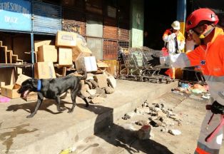 Simulacro de Desastre en Mercado Roberto Huembes