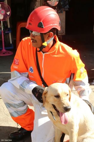 Simulacro de Desastre en Mercado Roberto Huembes