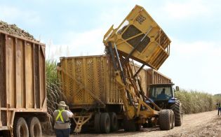 Vicepresidente Halleslevens destaca importancia de industria azucarera