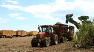 Vicepresidente Halleslevens destaca importancia de industria azucarera